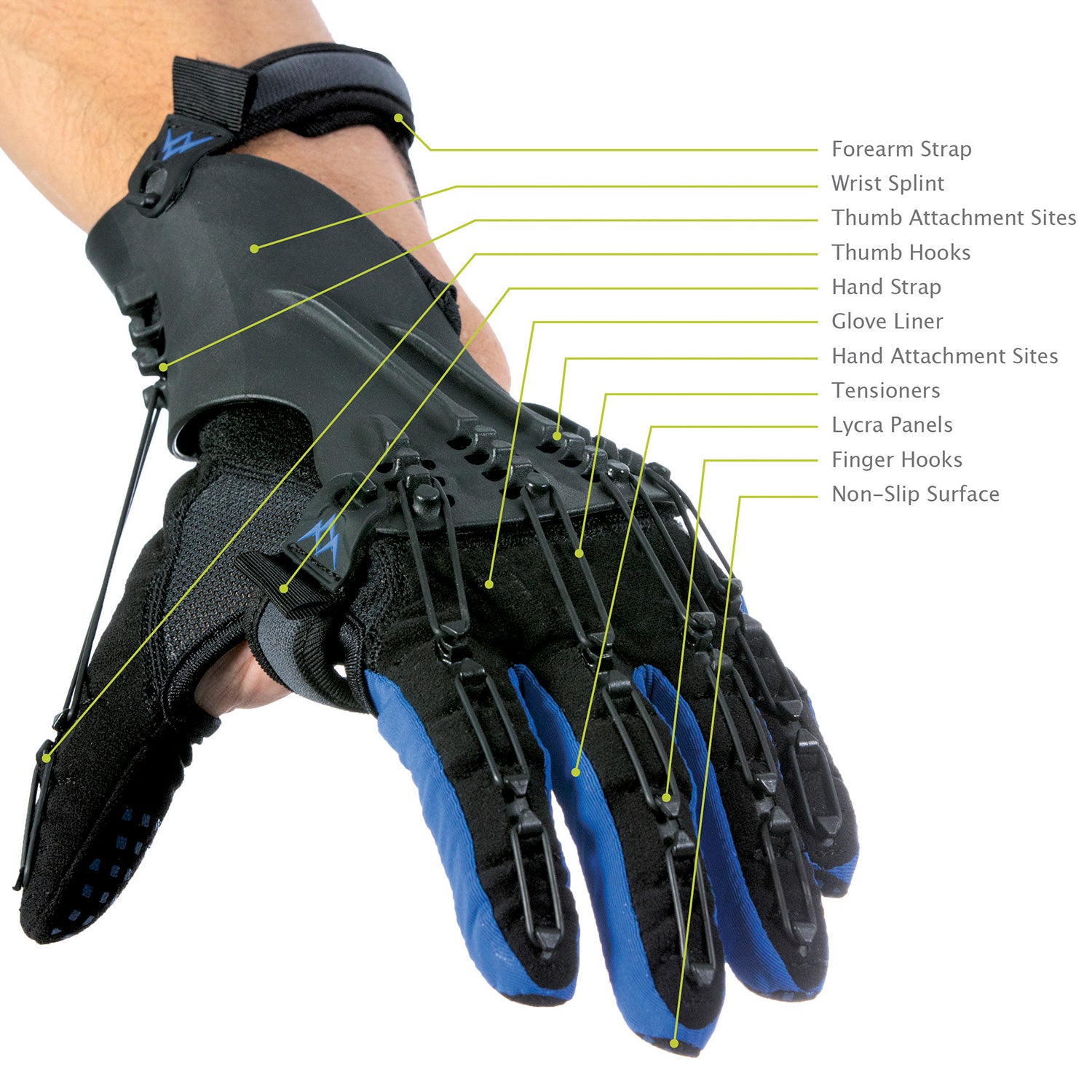The SAEBOGLOVE