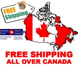 FEBRUARY IS FREE SHIPPING MONTH
