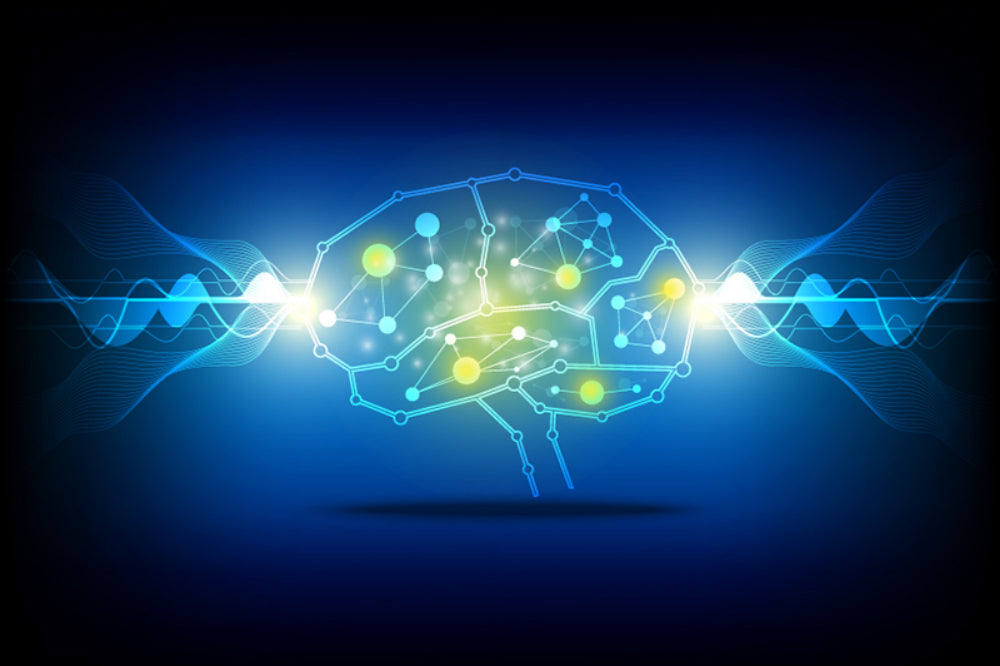6 Ways to Rewire Your Brain